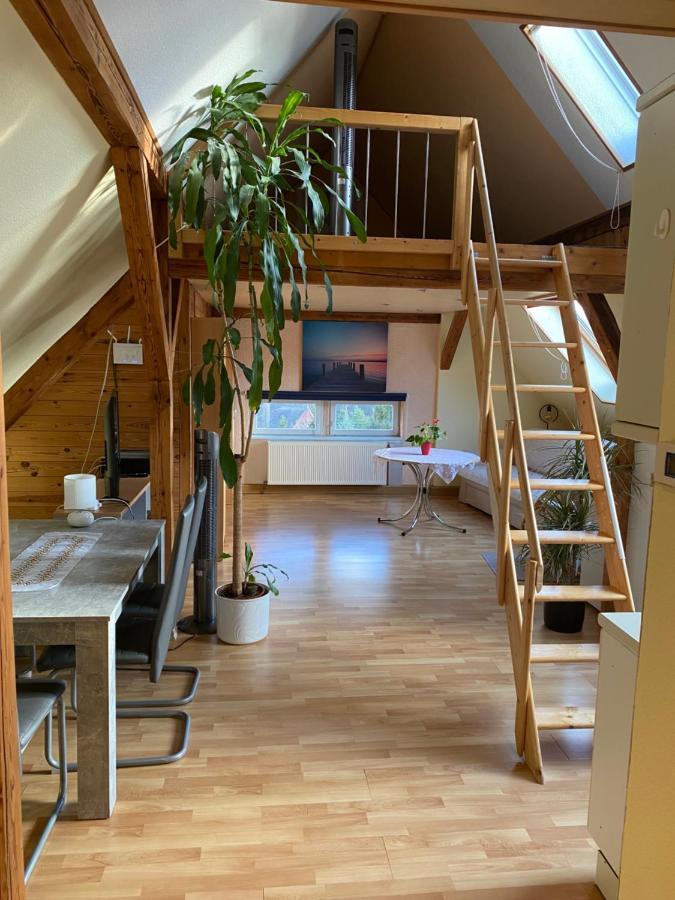 Helles Und Charmantes Loft Mit Herrlichem Blick Dresden Exterior photo